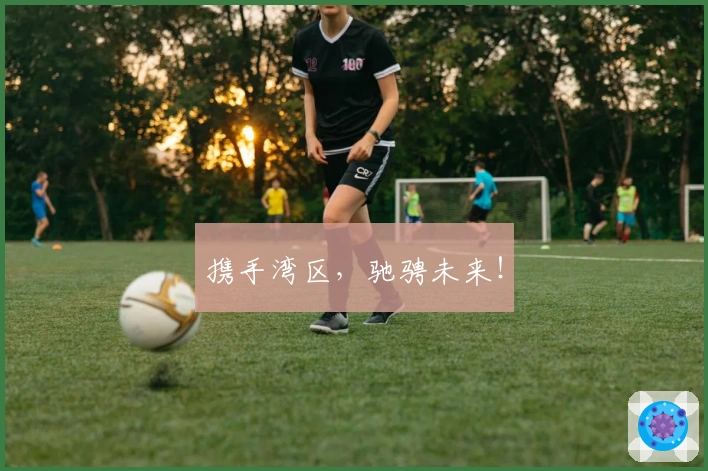 携手湾区，驰骋未来！